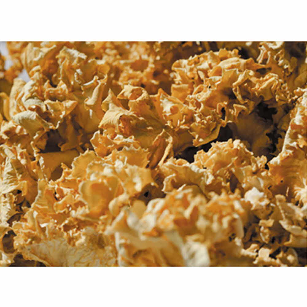 1599712918 thumbnail