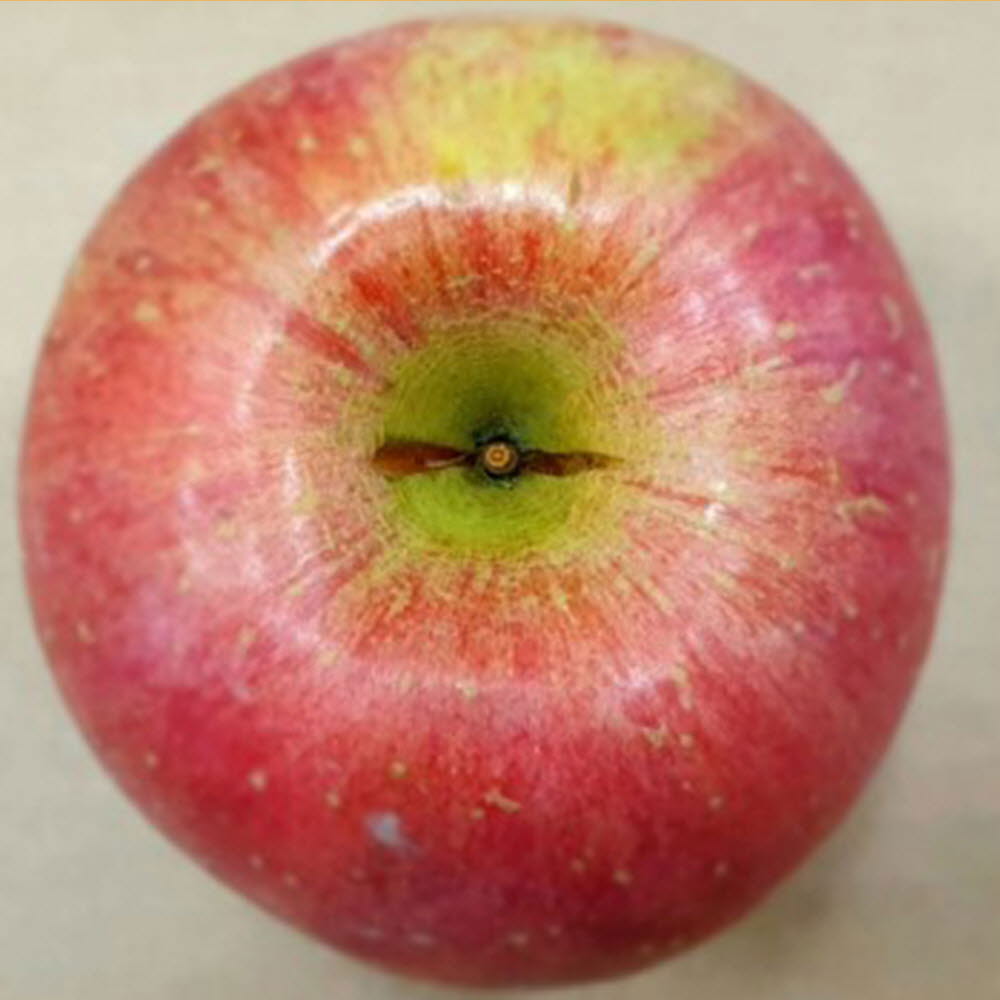 1602488487 thumbnail