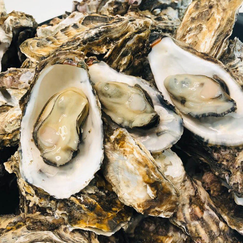 1602750953 thumbnail