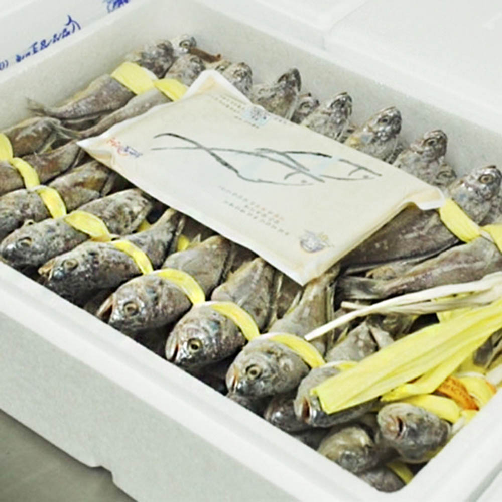 1604285050 thumbnail