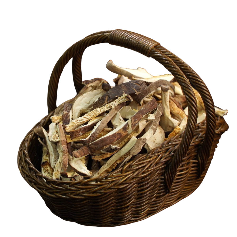 1604390759 thumbnail