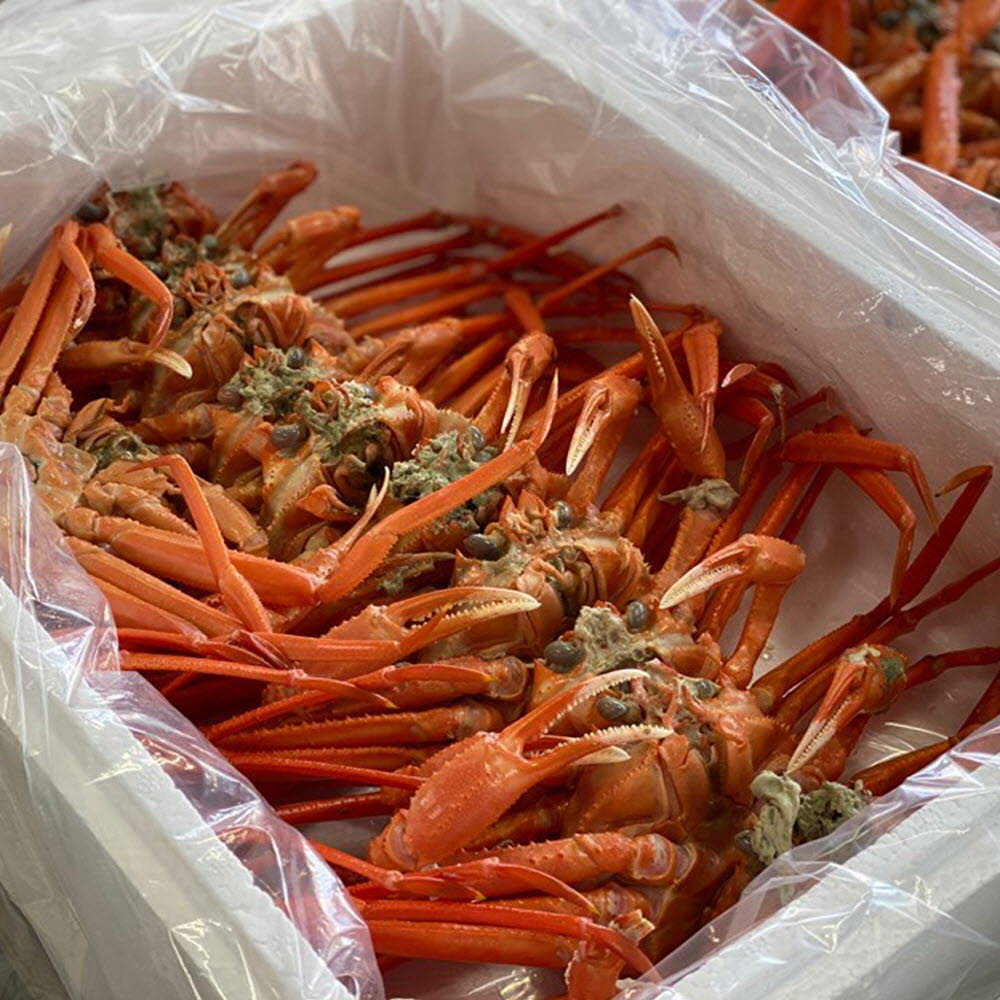 1604556751 thumbnail