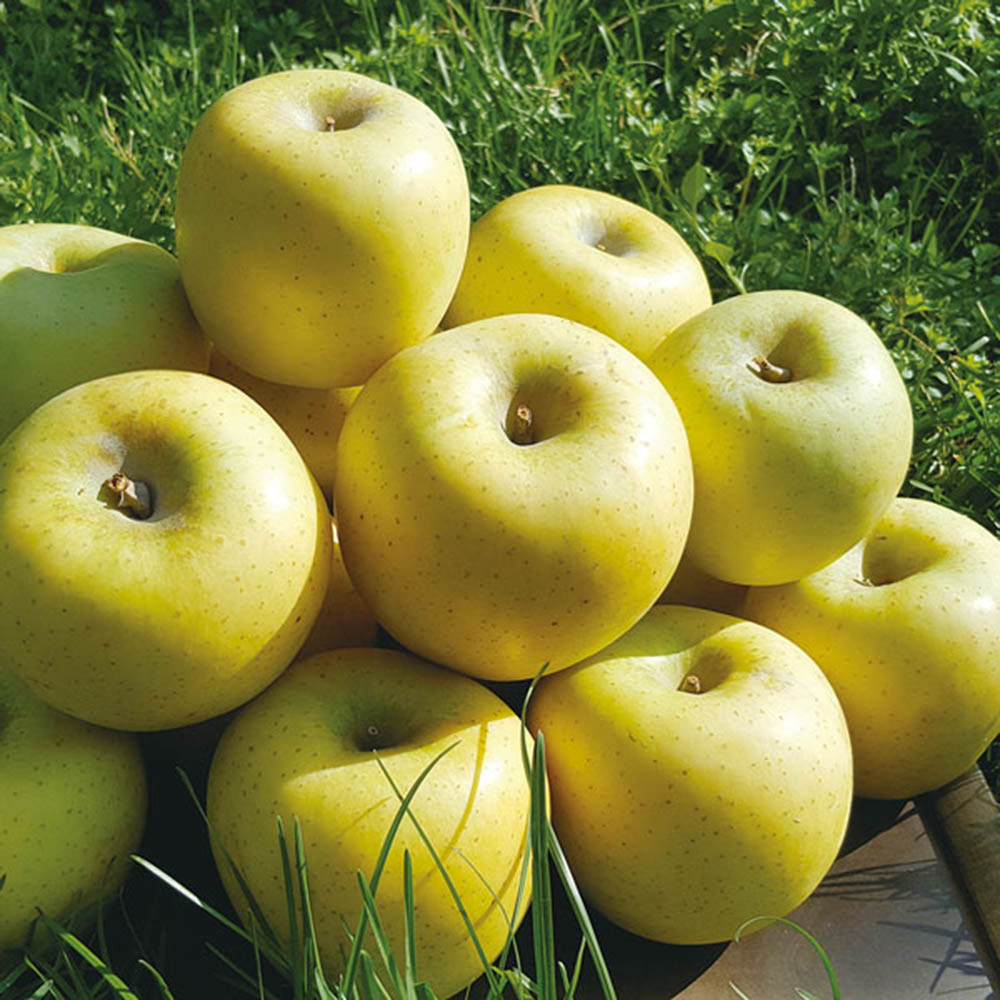 1605162950 thumbnail