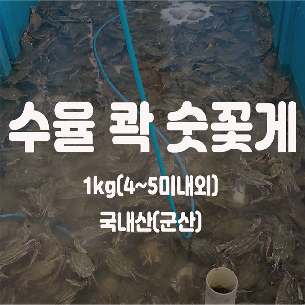 1605604513 thumbnail