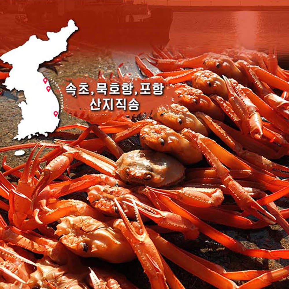 1605604533 thumbnail