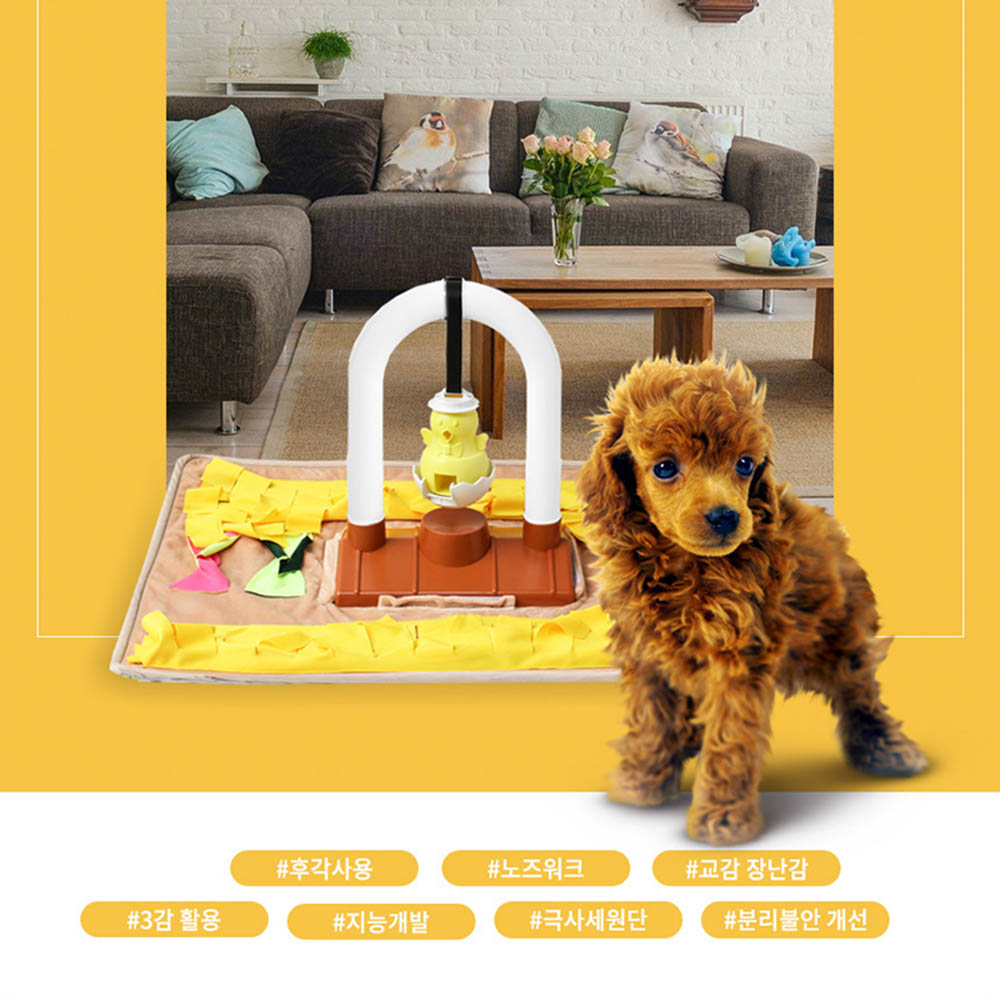 1607935017 thumbnail