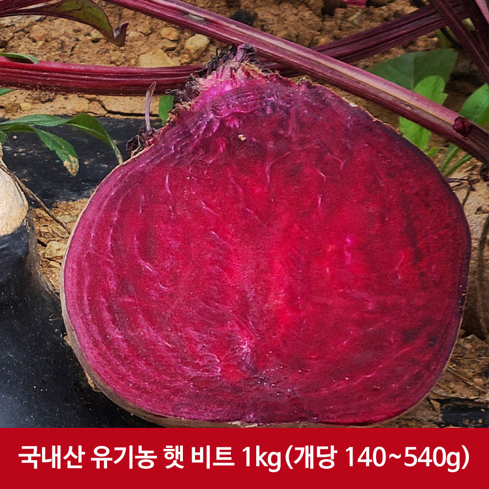 1608095462 thumbnail