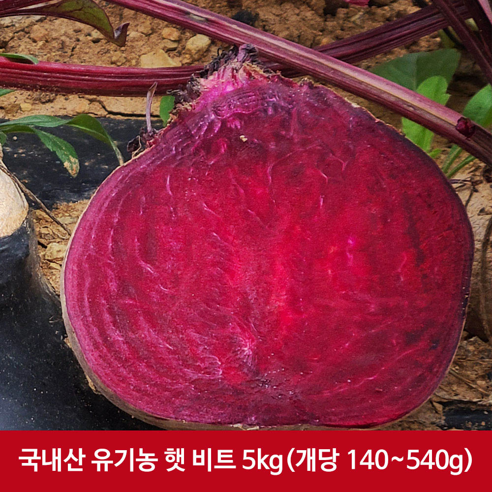 1608095465 thumbnail