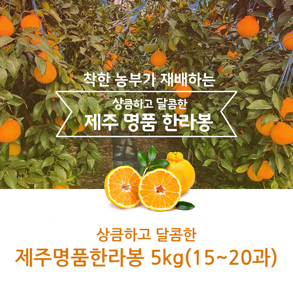 1608193808 thumbnail