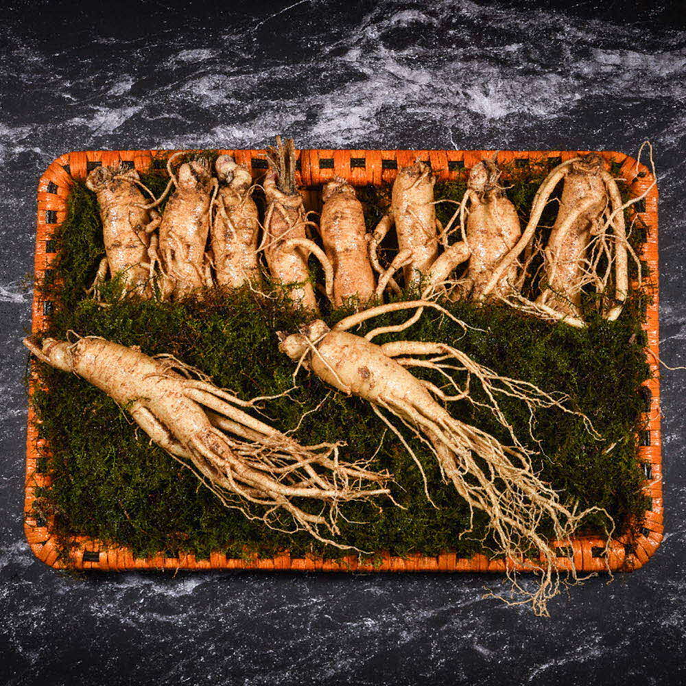 1609395962 thumbnail