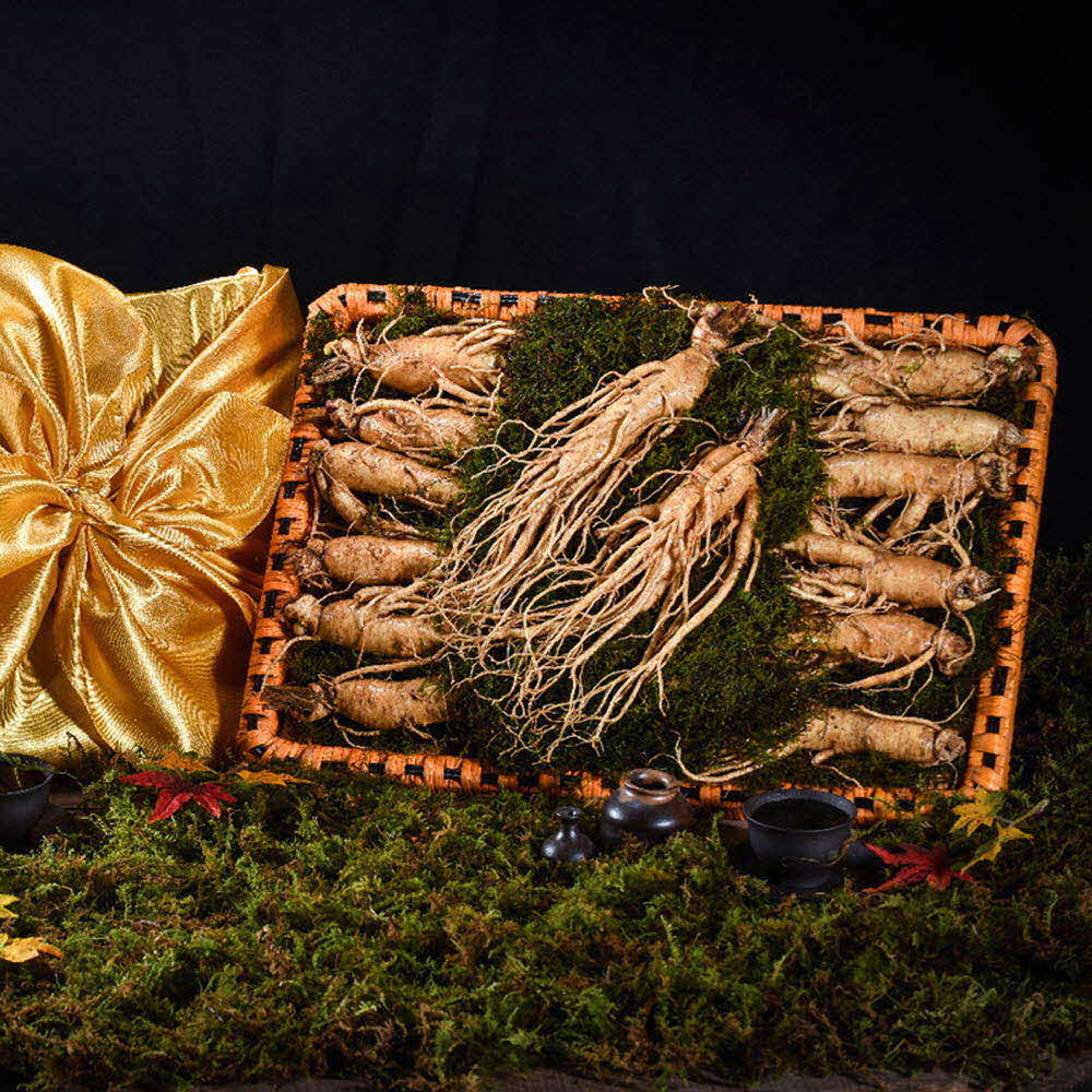 1609395963 thumbnail