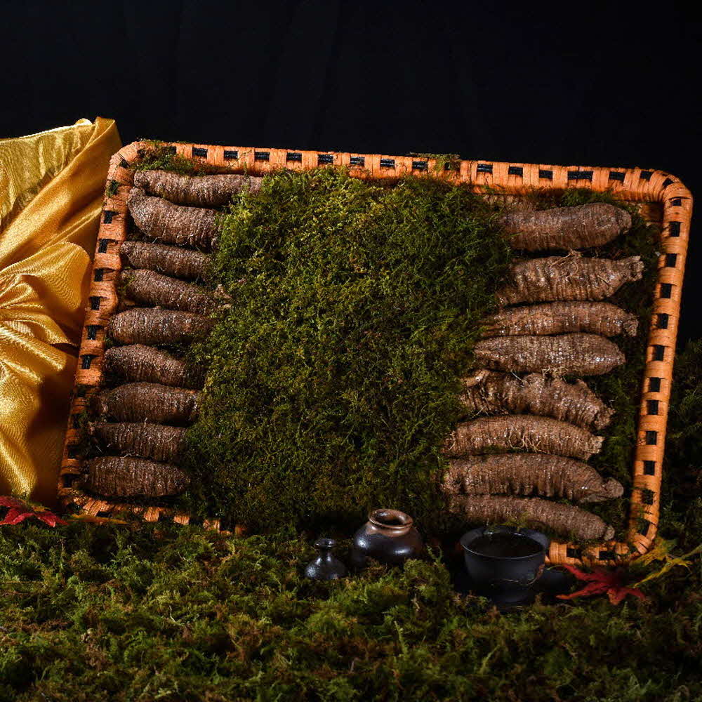 1609395965 thumbnail