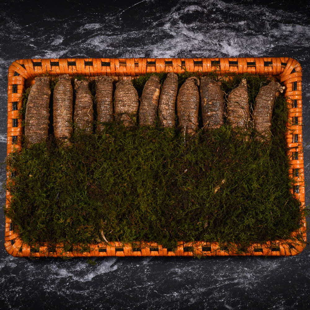 1609395966 thumbnail