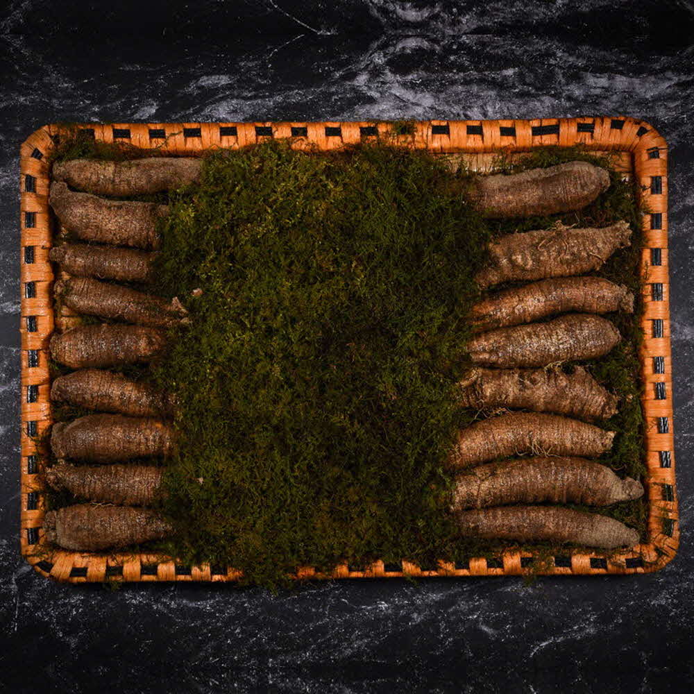 1609395967 thumbnail