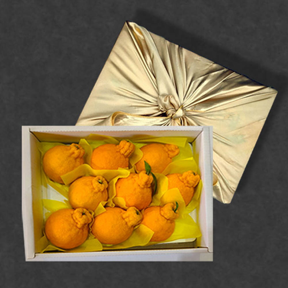 1611034897 thumbnail