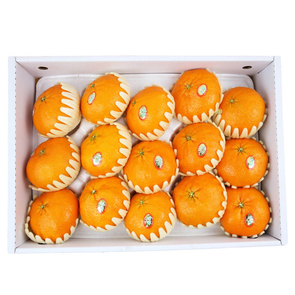 1611124266 thumbnail