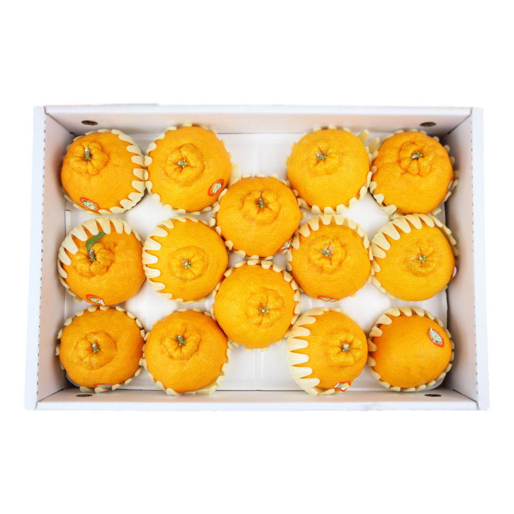 1611124267 thumbnail