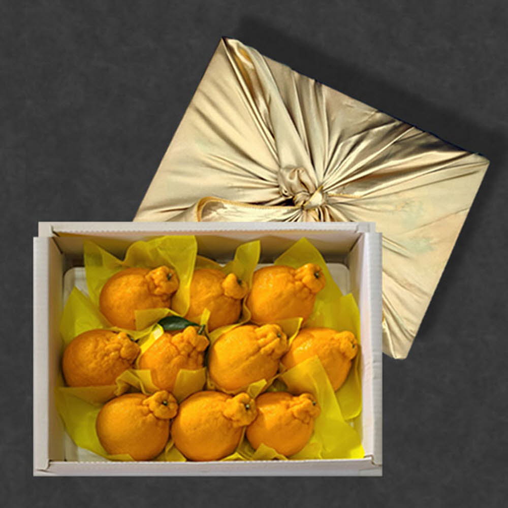 1611558805 thumbnail