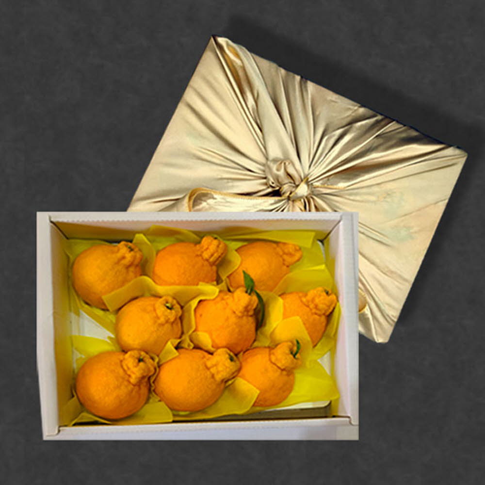 1611558806 thumbnail