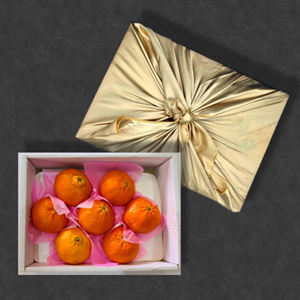 1611558808 thumbnail