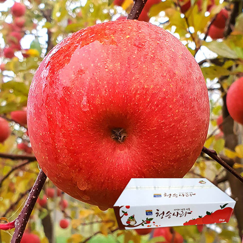 1611653933 thumbnail