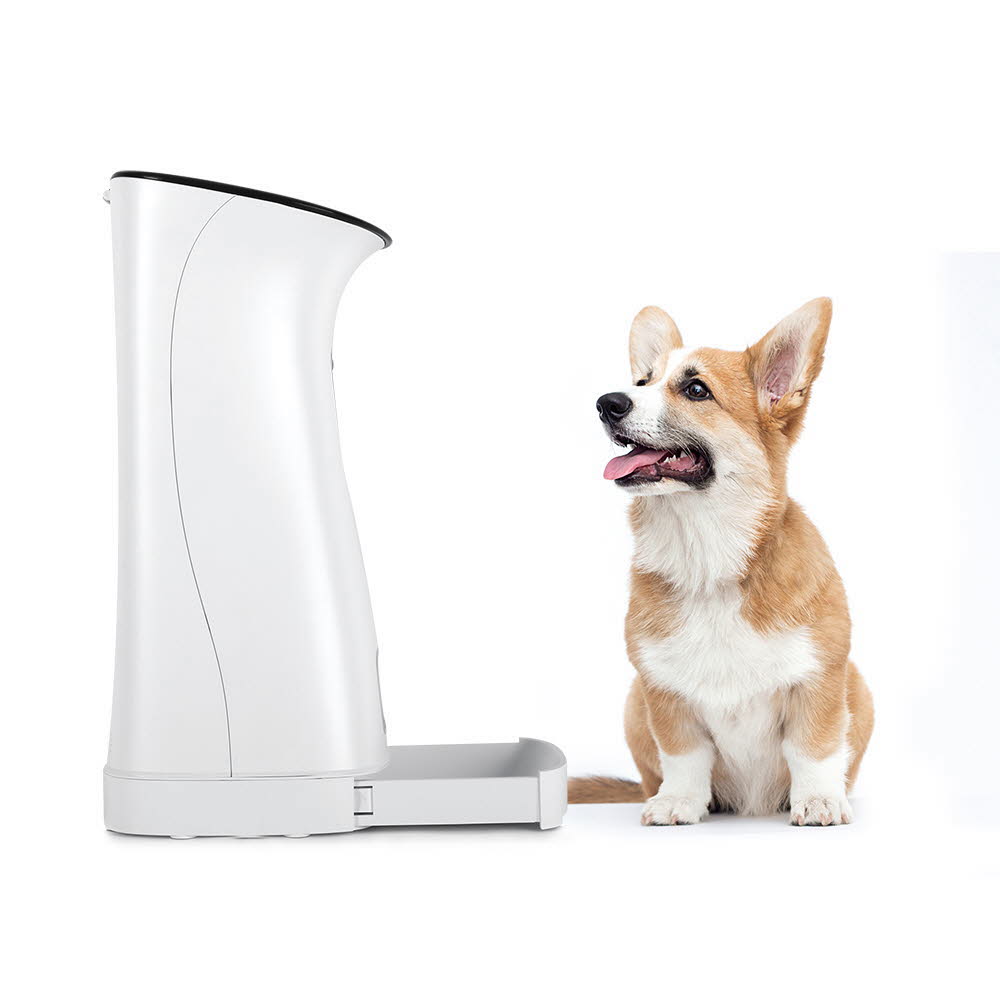 1611733720 thumbnail