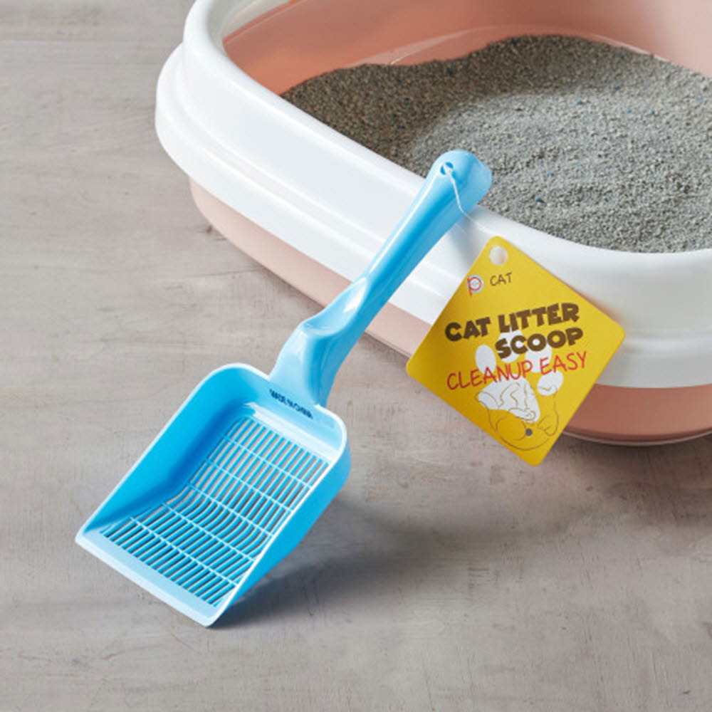 1612253254 thumbnail