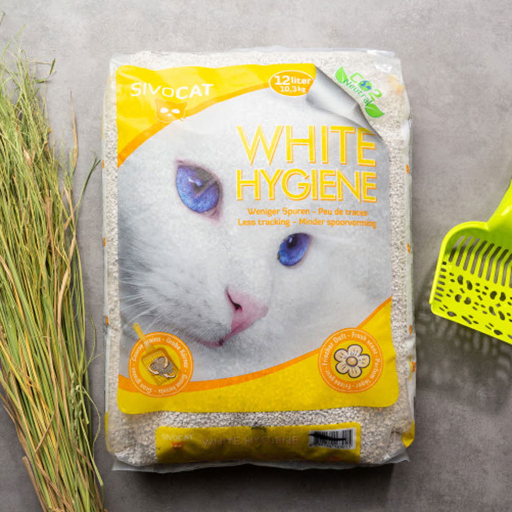 1612253256 thumbnail