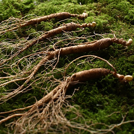 1612504499 thumbnail