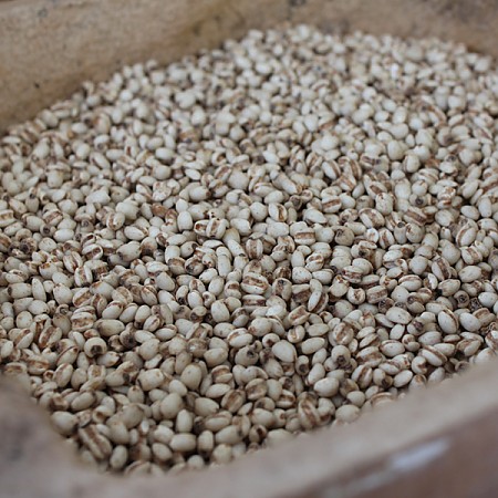 1612504502 thumbnail