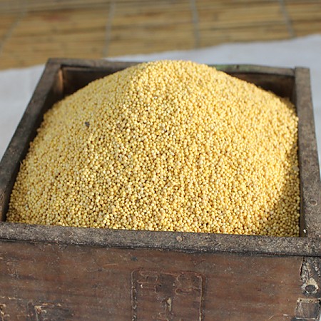 1612504503 thumbnail