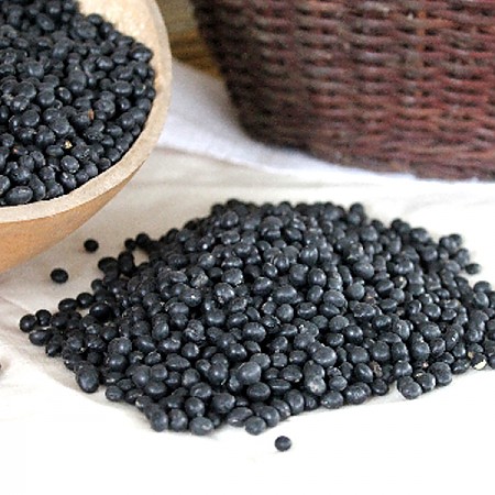 1612504506 thumbnail