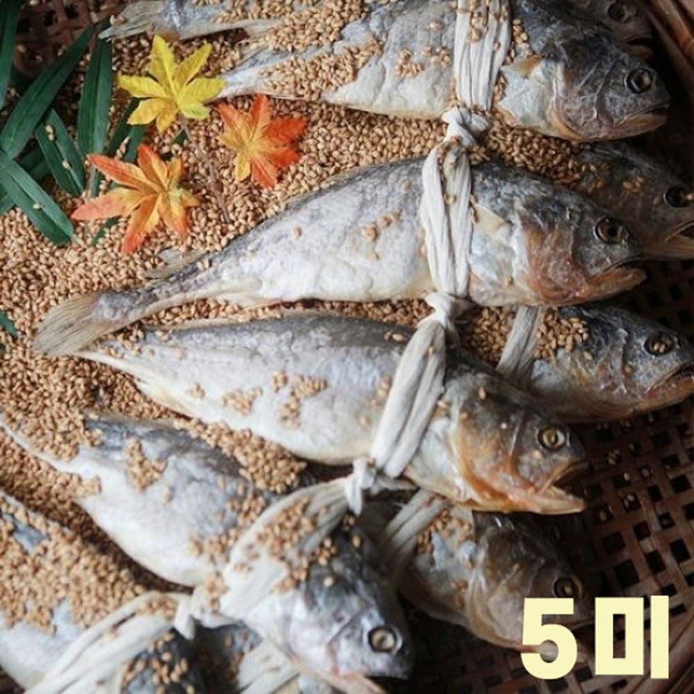 1613976479 thumbnail