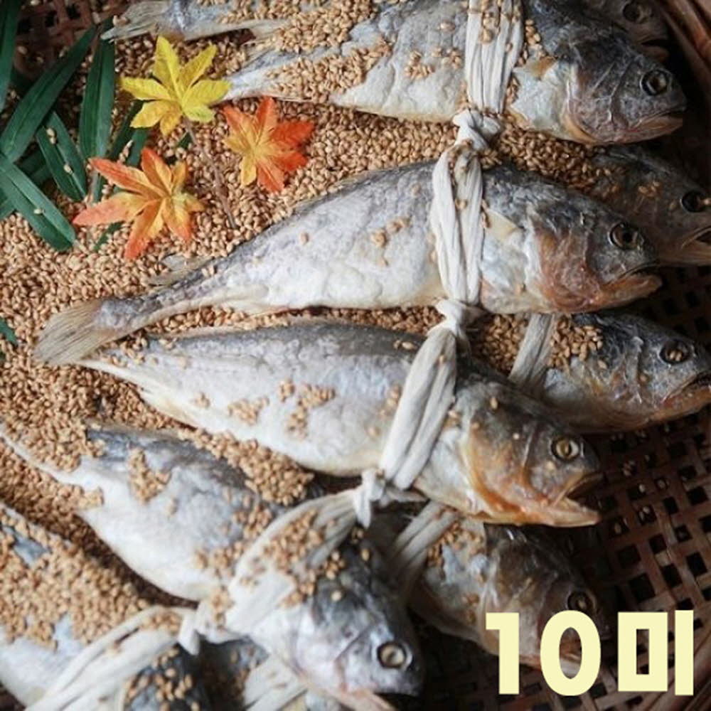 1613976481 thumbnail