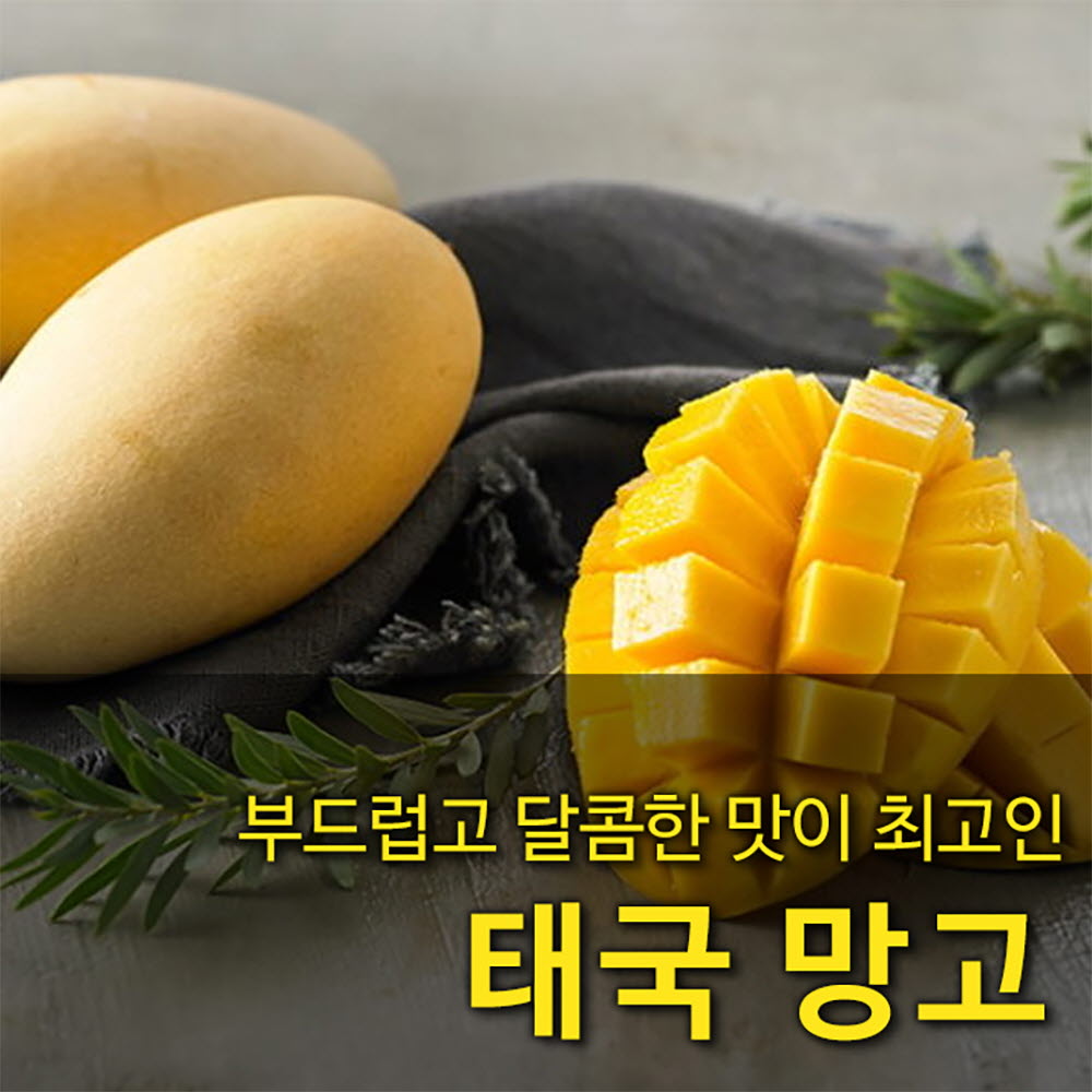 1614649733 thumbnail