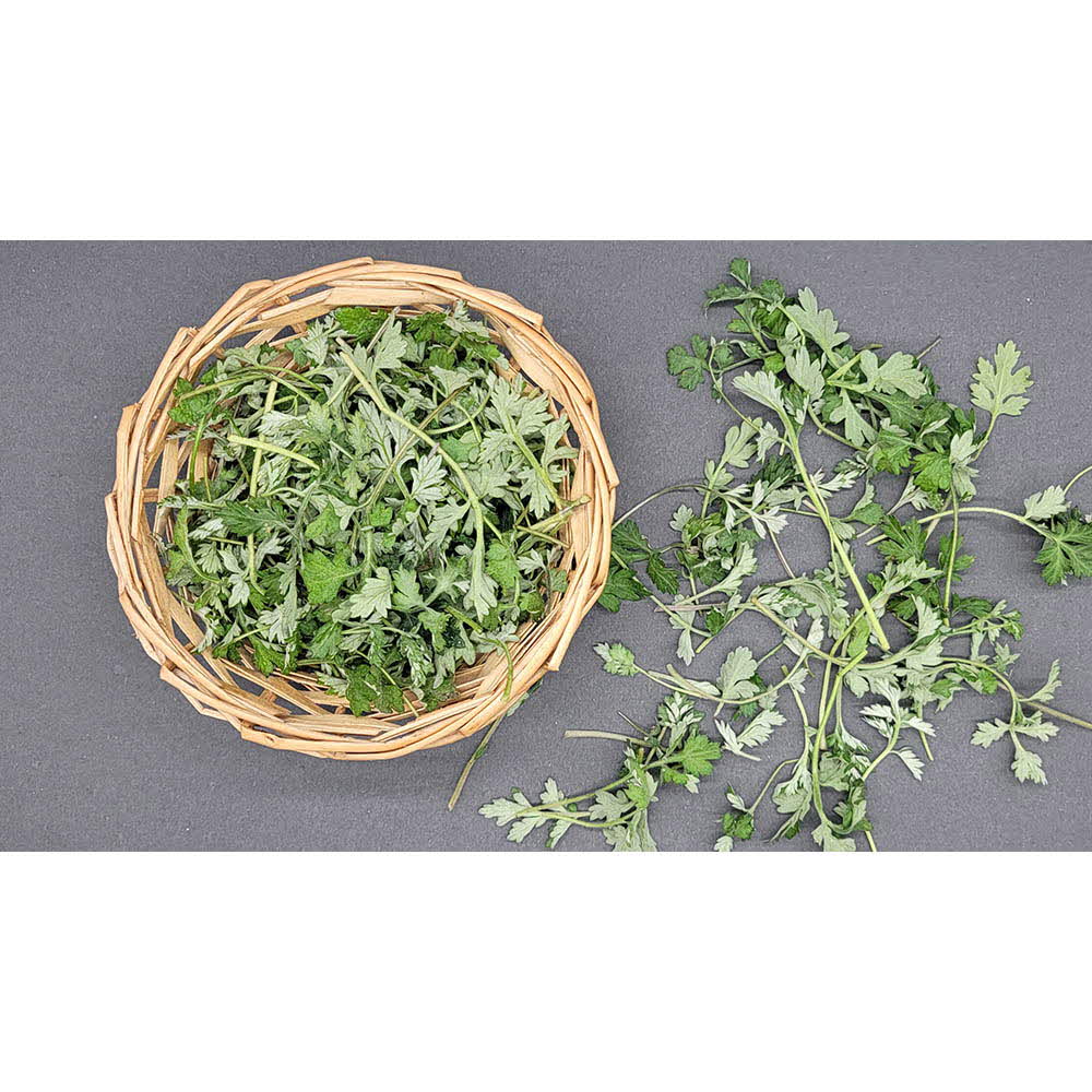 1614755091 thumbnail