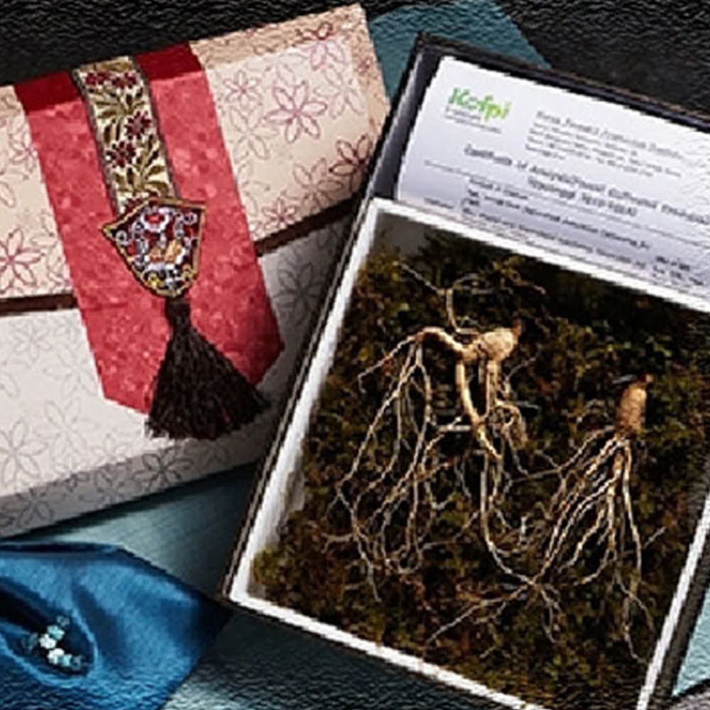 1616044593 thumbnail