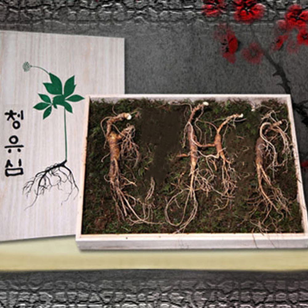 1616044594 thumbnail