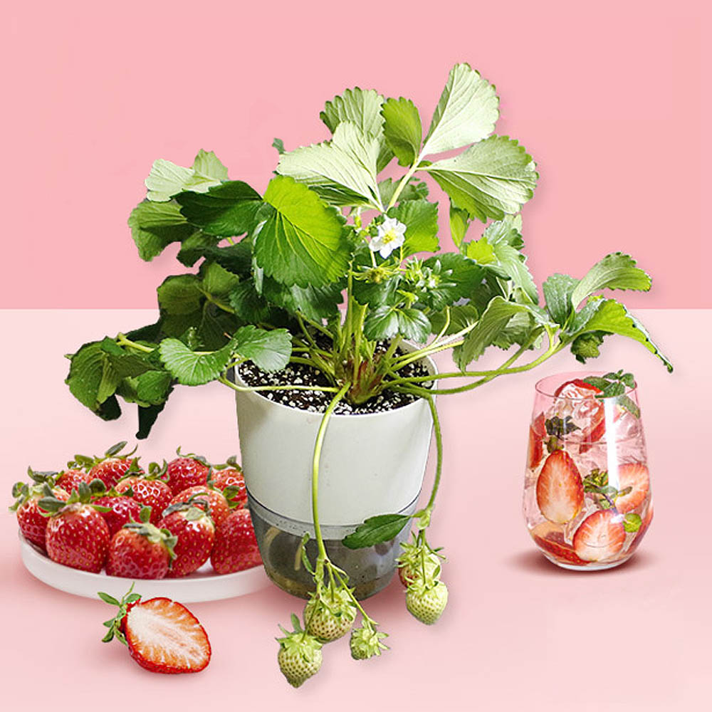 1617333943 thumbnail