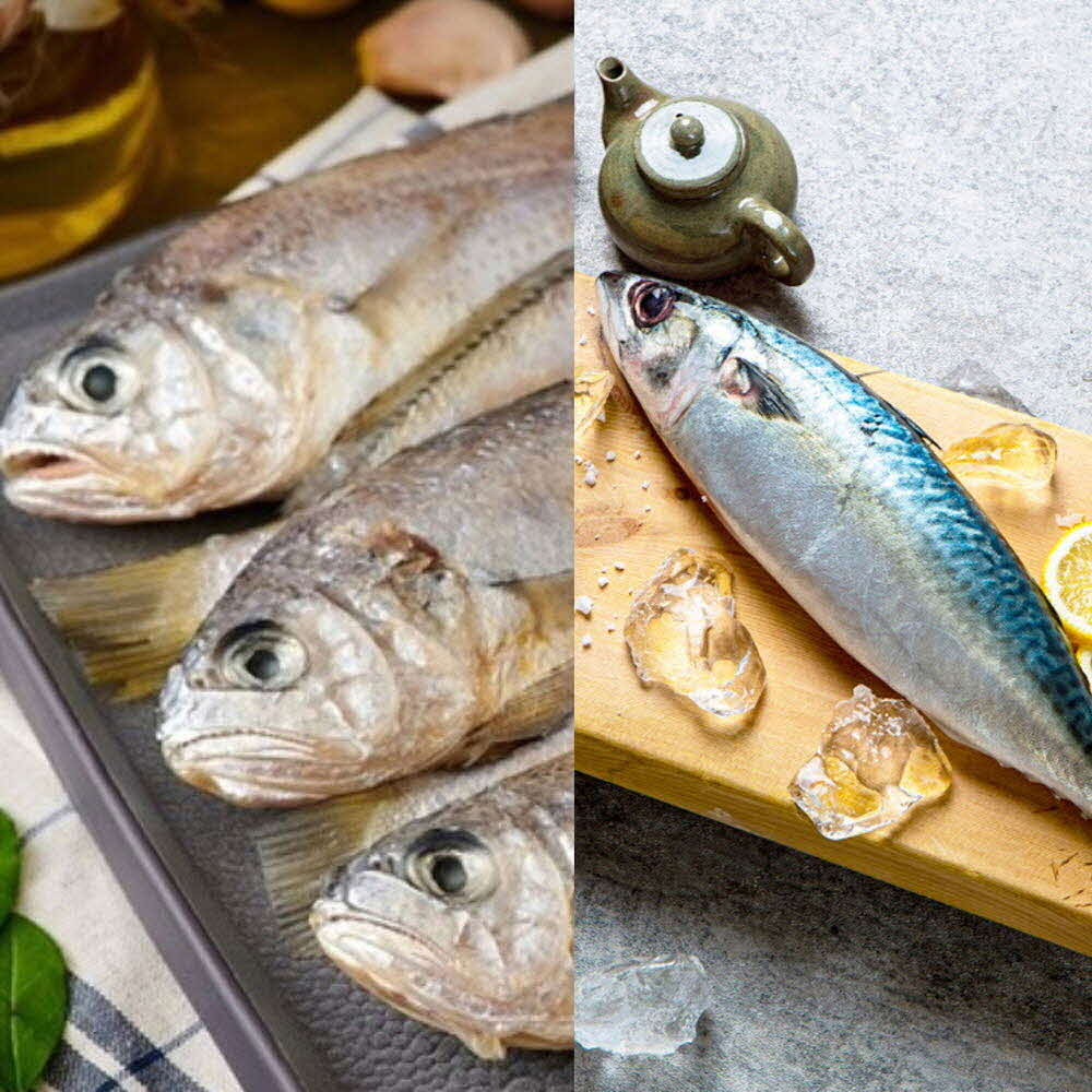 1617611624 thumbnail