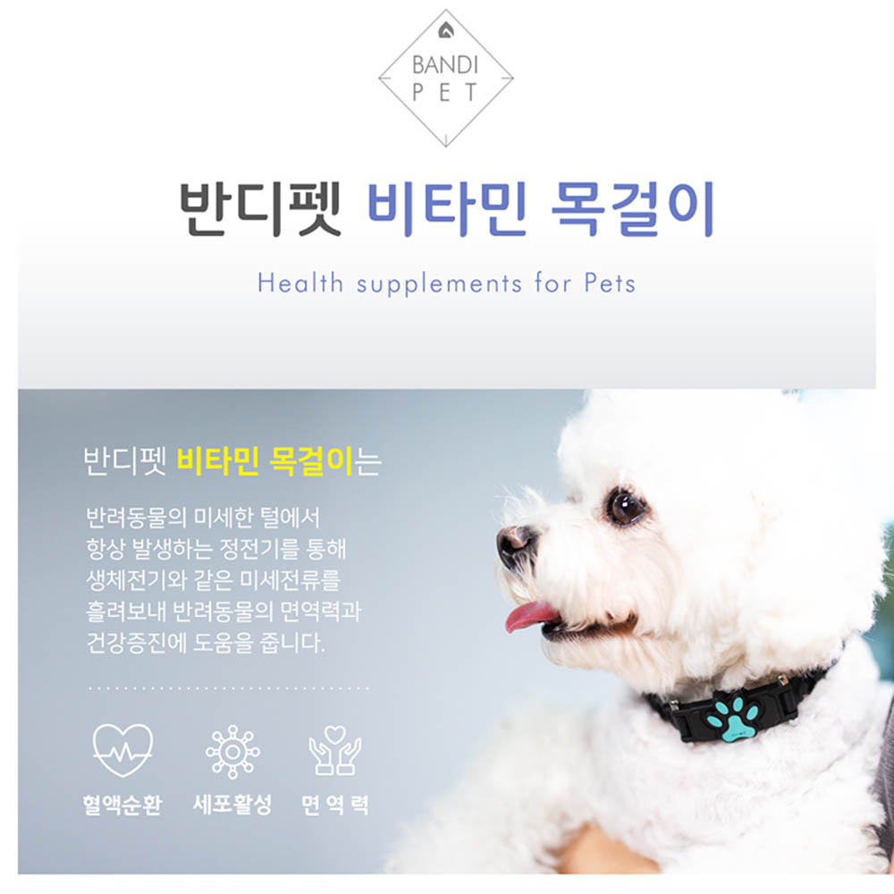 1617843865 thumbnail