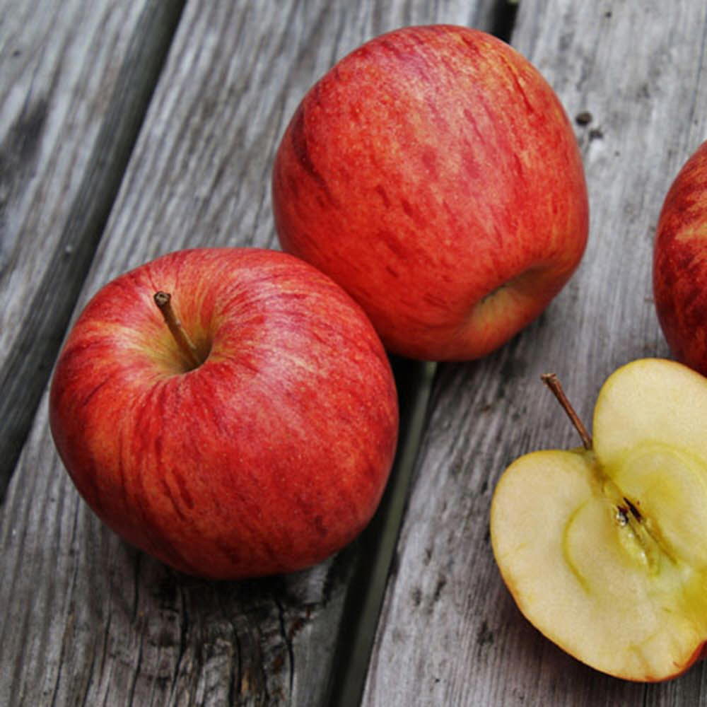 1620612256 thumbnail