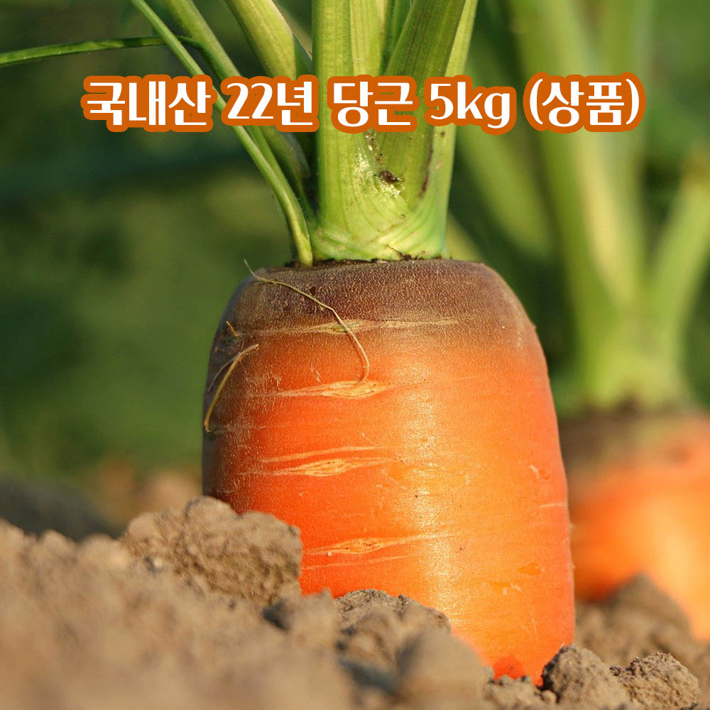 1620786296 thumbnail