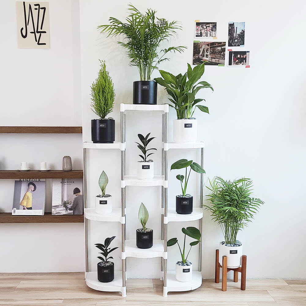 1621844566 thumbnail