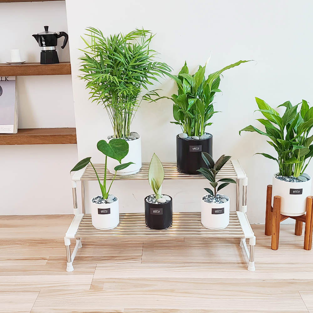 1621844567 thumbnail