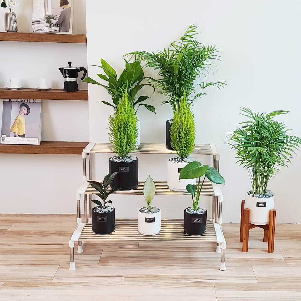 1621844568 thumbnail