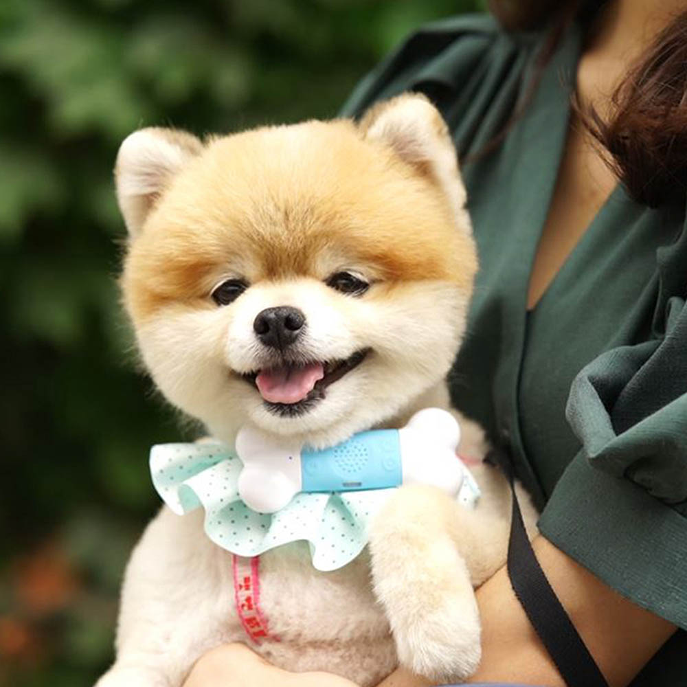 1621994789 thumbnail