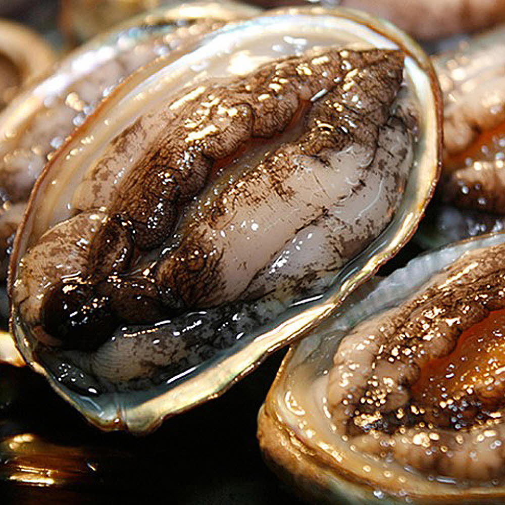 1623056605 thumbnail