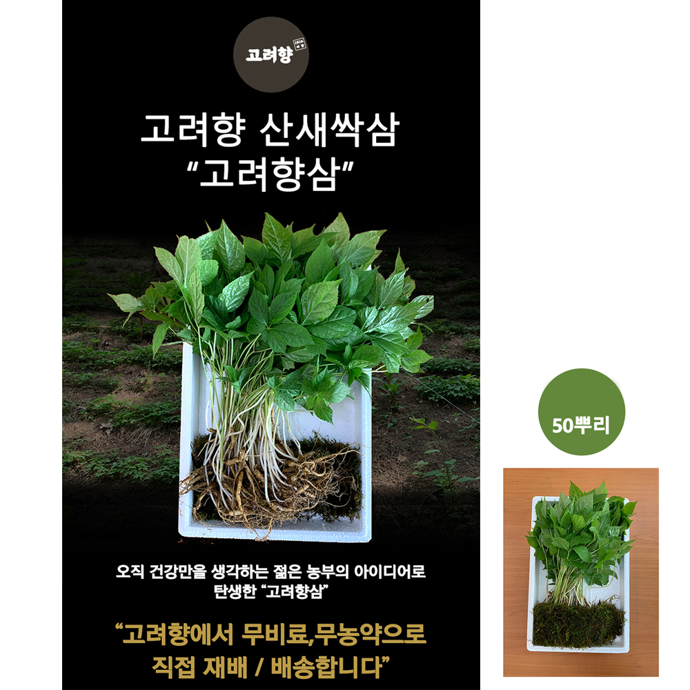 1623056617 thumbnail