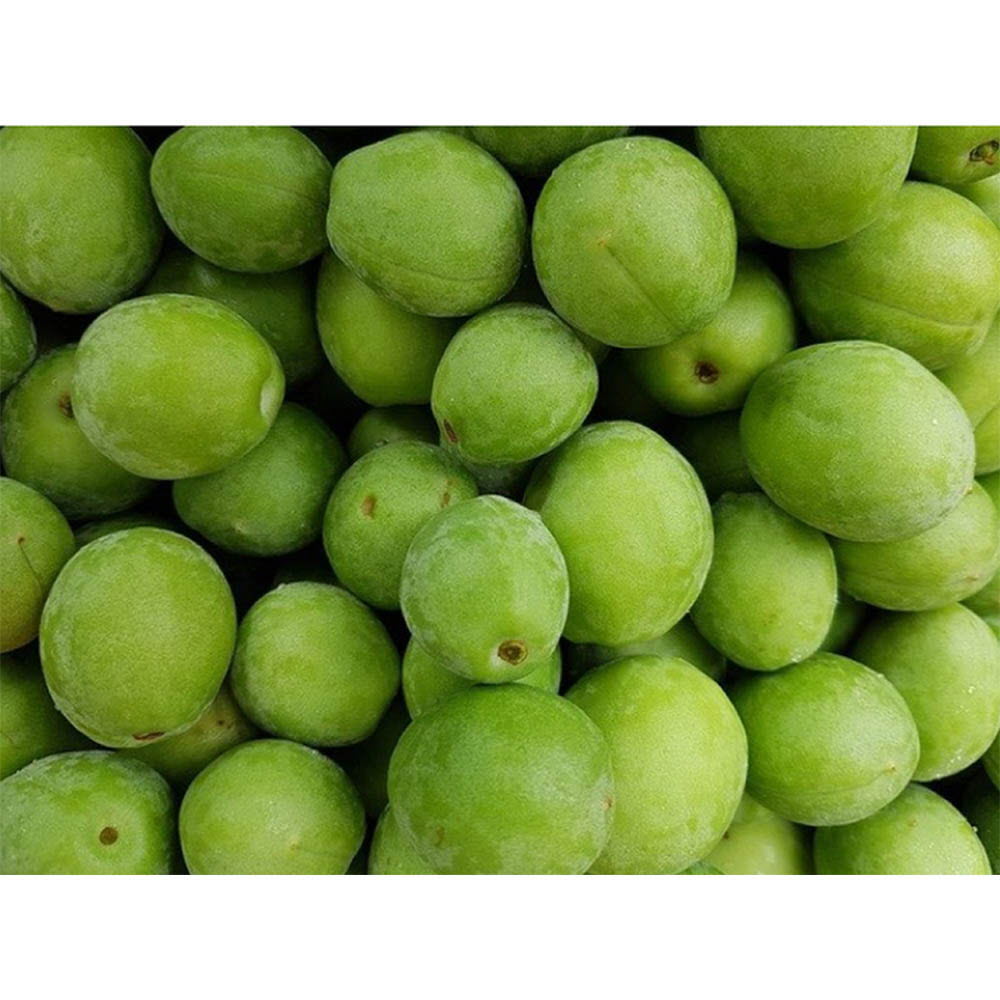 1623119097 thumbnail